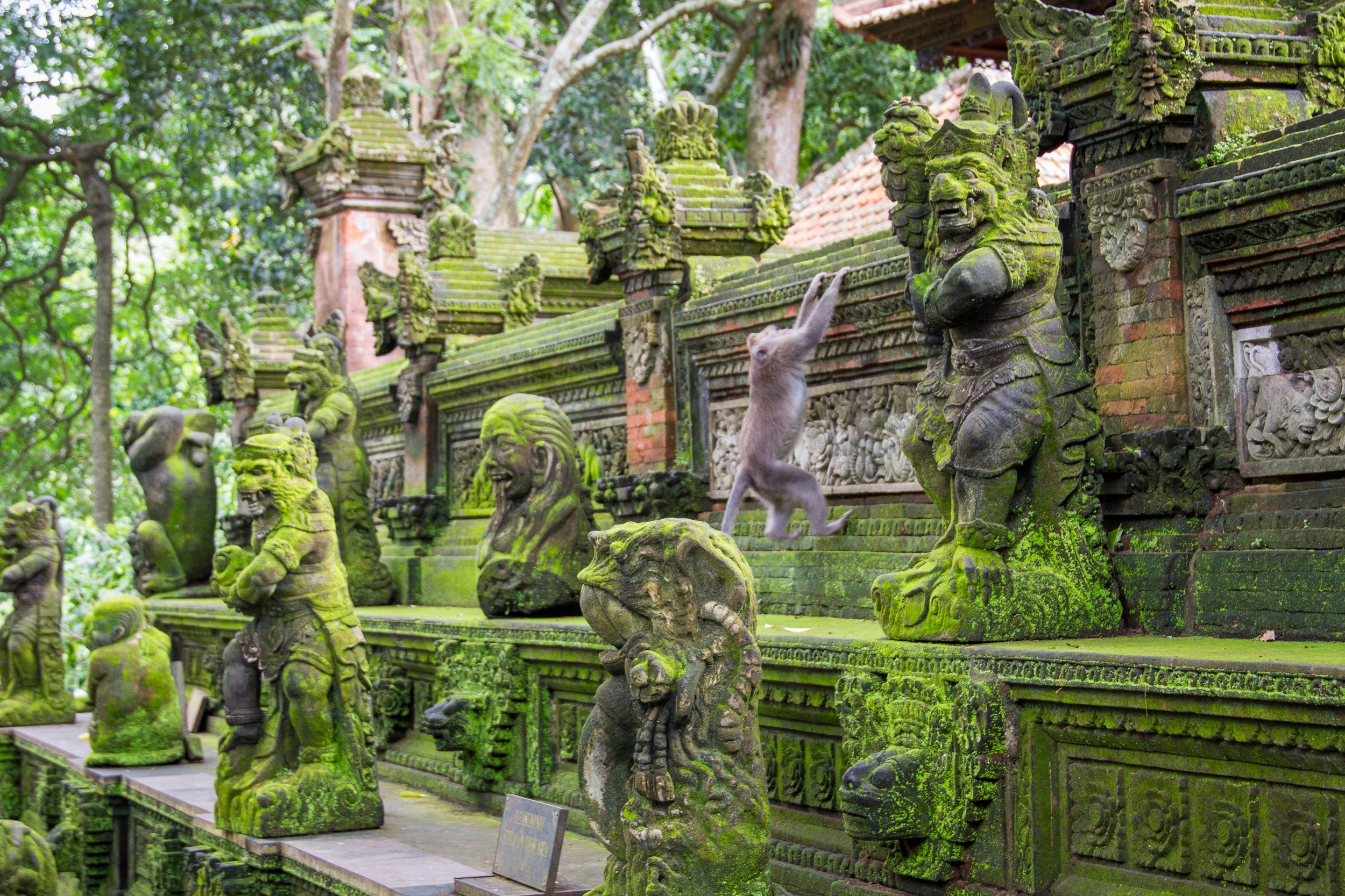 Monkey-Climbs-statues-at-Sacred-Monkey-Forest-Ubud-Indonesia