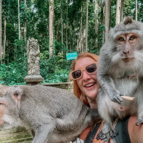 sangeh-monkey-forest-2